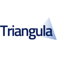 Triangula logo - Similar company to Teleplan Consulting As
