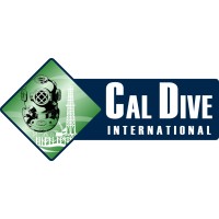 Cal Dive International logo - Similar company to Drt Solutions Llc