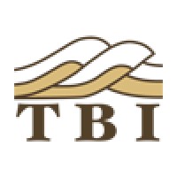 Thrust Belt Imaging logo - Similar company to Optiseis Solutions Ltd.