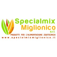 Specialmix Miglionico Srl logo - Similar company to Mikea Srl