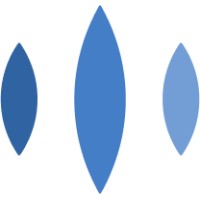 Prosodica logo - Similar company to Versay Solutions