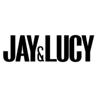 LATTY SOLUTIONS logo - Similar company to Analyticshero, Llc