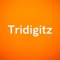 Tridigitz logo - Similar company to The Inner Circle