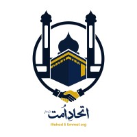 Ittehad E Ummat Organization logo - Similar company to Ammycodes