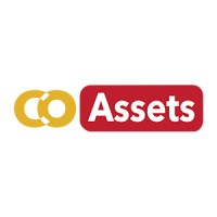 CoAssets International Pte Ltd logo - Similar company to Techart Global Pte Ltd (Tag)