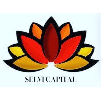 Selvi Capital PLC logo - Similar company to Silverse
