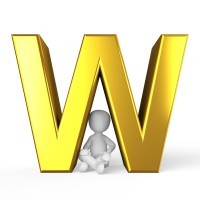W Financial Management LLC logo - Similar company to Cecil Analytics Llc