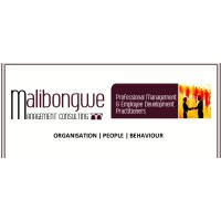 MALIBONGWE MANAGEMENT CONSULTING logo - Similar company to Ndk Group Management Consulting