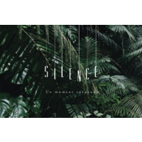 Silence logo - Similar company to Silence.