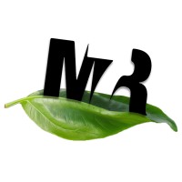 MR7 logo - Similar company to Mr Web Consultant