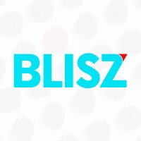 BLISZ logo - Similar company to Wemakeskills