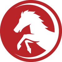 Pony Oil logo - Similar company to Bluestem Resources Group, Llc