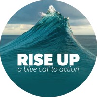 RISE UP- A Blue Call to Action logo - Similar company to Icsf
