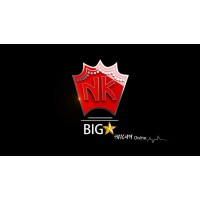 NK BIGSTAR PRIVATE LIMITED logo - Similar company to Thravos