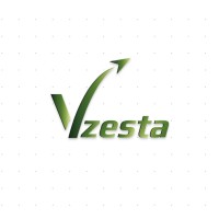 Vzesta logo - Similar company to Celestial Learn