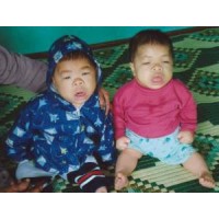 Children of VietNam / American war logo - Similar company to Research Tech Solutions