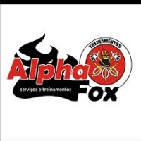 Alpha Fox Serviços e Treinamentos logo - Similar company to Alpha Fox