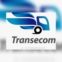 Transecom Global logo - Similar company to Supertrans