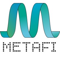 MetaFi logo - Similar company to Flickthrough.In