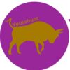 Triveni B S Enterprises logo - Similar company to Brain4U