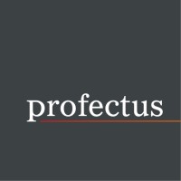 Profectus Consulting Portugal logo - Similar company to Amener S.A