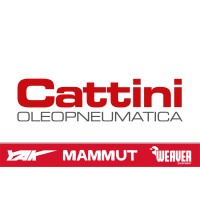 Cattini Oleopneumatica S.r.l. logo - Similar company to Compac Hydraulik A/S