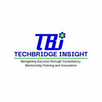 TechBridge Insights Ltd logo - Similar company to Codelancer