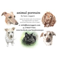Pet Portraits by Kate logo - Similar company to Kameleon Group