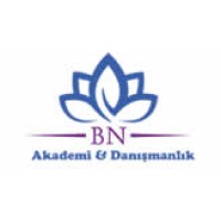 BN Akademi logo - Similar company to Innocentric