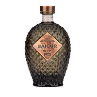 Saigon Baigur logo - Similar company to Vidogroup