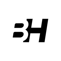 BlueHackers logo - Similar company to Roalytics