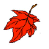 Western Maine Cultural Alliance