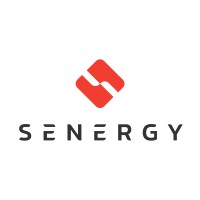 Senergy -  Skwentex Energy Co. logo - Similar company to Lwiz Guild