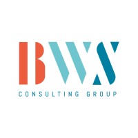 BWS Consulting Group GmbH logo - Similar company to Eworks Gmbh