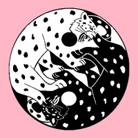 Snow Shadow FS logo - Similar company to 4Play Events