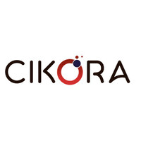 CIKORA logo - Similar company to Capable Consultants