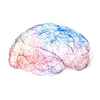 Psychedelic Research & Insights Council logo - Similar company to Psychedelic Data Society