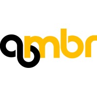 Ambr Institute logo - Similar company to Aaps Technosys Llp