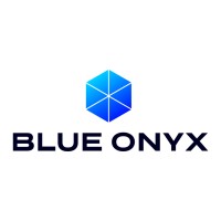 Blue Onyx logo - Similar company to Roi Technologies Llc