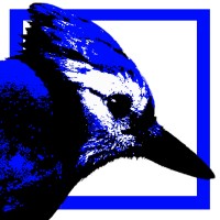 Corvidae.ink logo - Similar company to Better Life Technology®