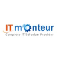 IT Monteur logo - Similar company to Ezerhost
