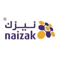 Naizak Lab Systems logo - Similar company to System Links