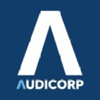 AUDICORP CONSULTING logo - Similar company to Digiwalk