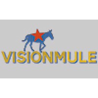 Visionmule