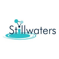 Stillwaters AI - Training and Consulting logo - Similar company to Tech Ai Software Training Institute