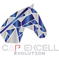 Cap Excell logo - Similar company to Capexcel