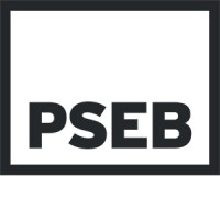 PSEB LLC logo - Similar company to Stingray Tech