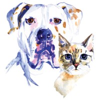 Low Cost Spay Neuter Clinic, Inc. logo - Similar company to Minnesota Spay Neuter Assistance Program (Mn Snap)