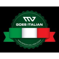 Maverick Valves Manufacturing Italia S.r.l. logo - Similar company to Ips Group Bv