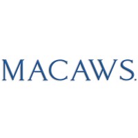 Macaws. logo - Similar company to Macaws.Ai